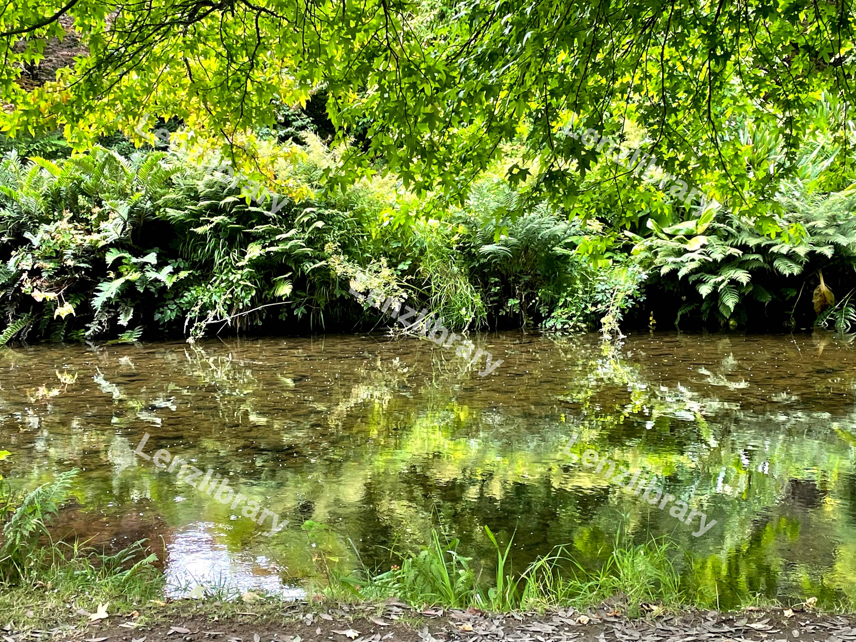 Green Lake